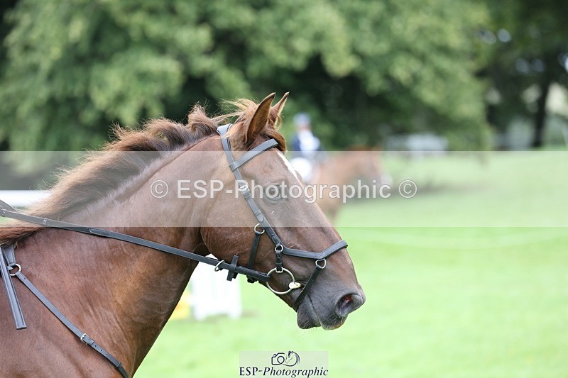 230805-120117-01749 - SJ 11.55 to 13