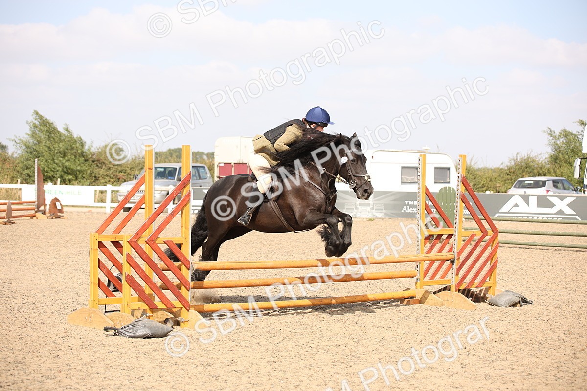 SBM_15001 - Class 408a - Working Veteran 70cm (15-19