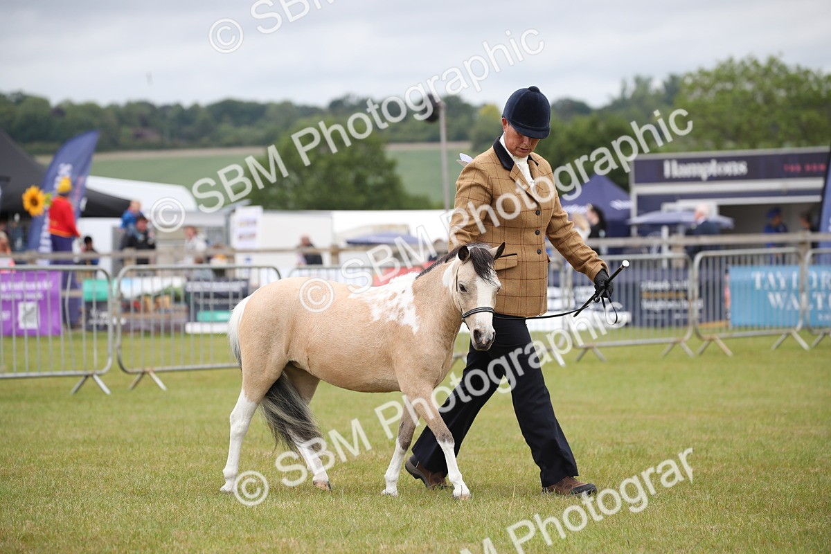 SBM_04002 - Class 23-25 - British Miniature Horse of the Year