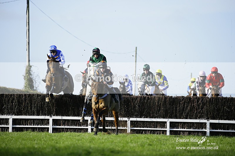 PtP 300122 243 - South Dorset Hunt - Point-to-Point Races 30/01/2022