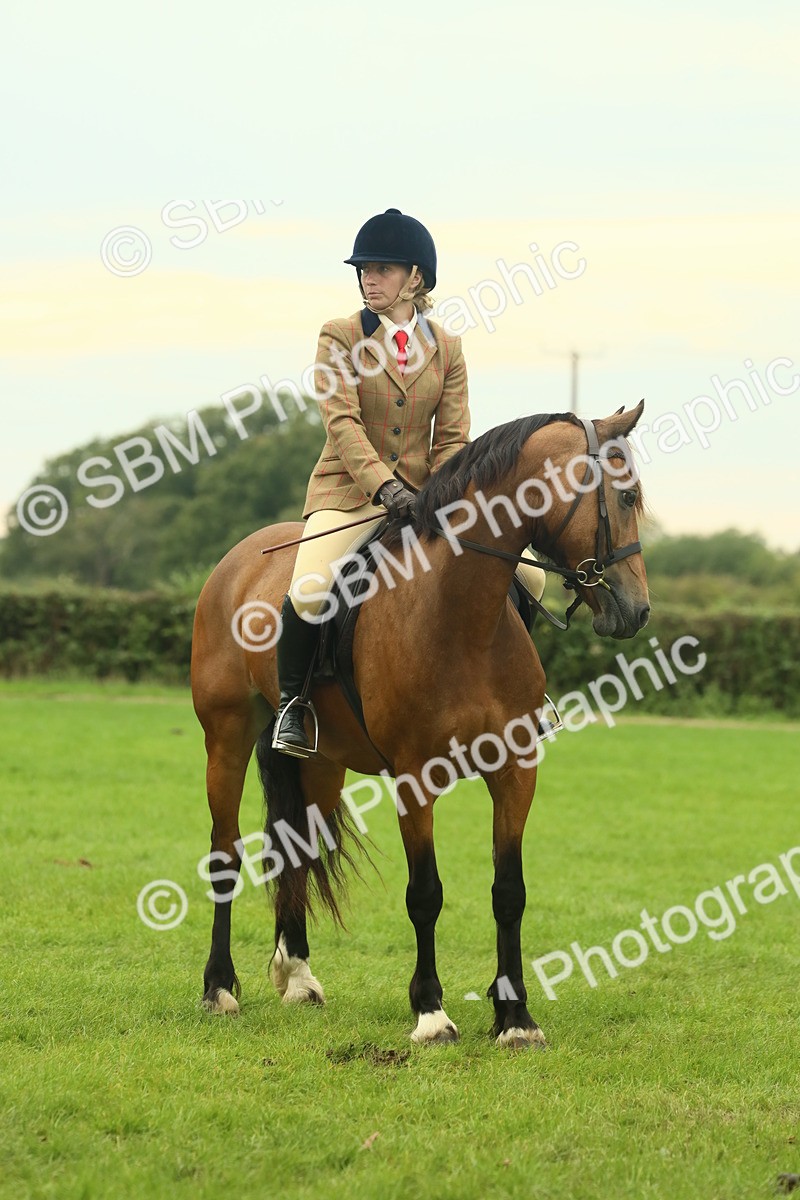 SBM_72230 - S60 - Mountain & Moorland Ridden Large Breeds