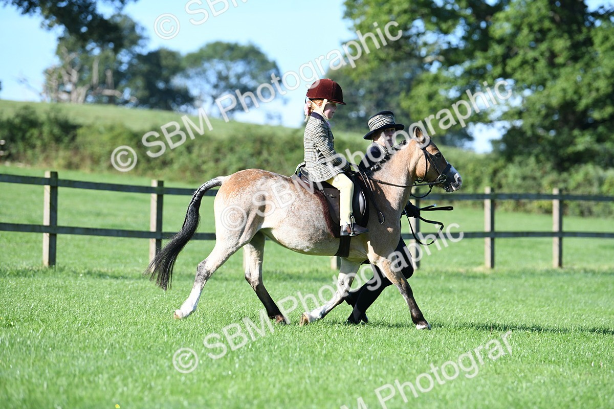 SBM_35352 - S17 - Condition & Turnout - Lead Rein