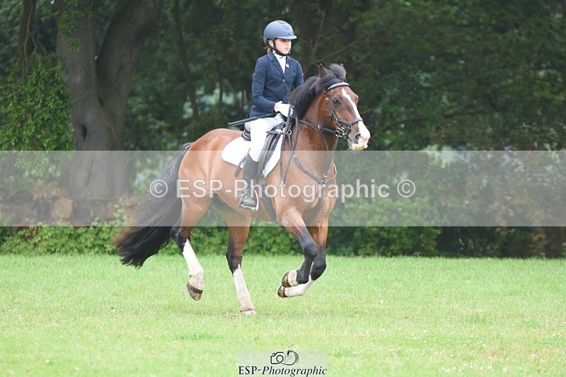 230618-105624-10596 - Cls 28 British Novice & 80cm Open