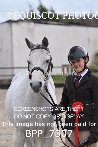 BPP_7307 - RING 1  (RIDDEN HORSES / IN HAND / VETERAN ETC)