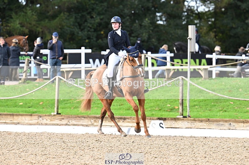 251023A-101823-01489 - B-128-Holly.Law