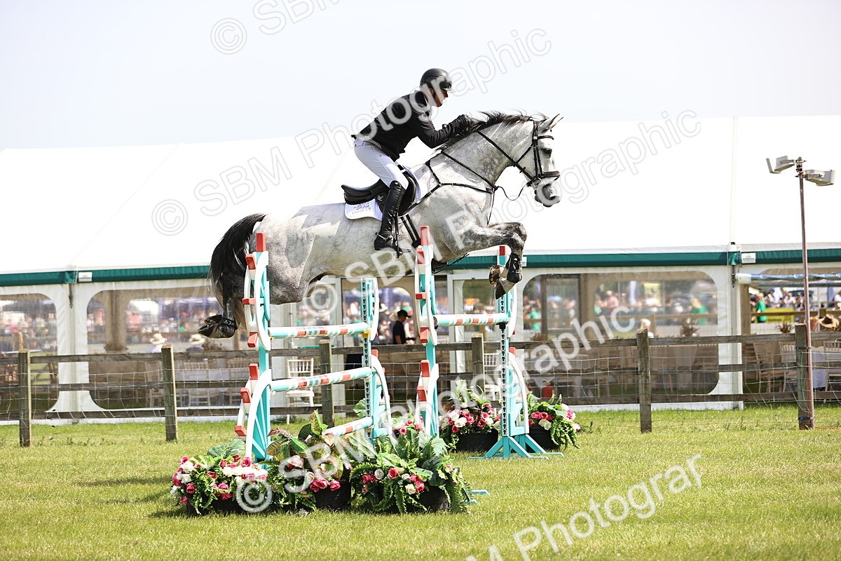 SBM_03284 - Class 201 - British Horse Feedds Speedi Beet HOYS Grade C