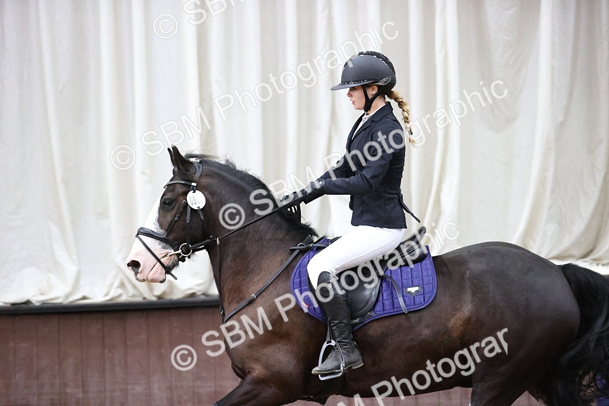 SBM_002354 - Class 11 - Pony Discovery - 90cm Open