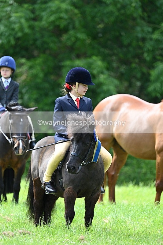 WJ7_1576 - Class 11 Condition & Turnout