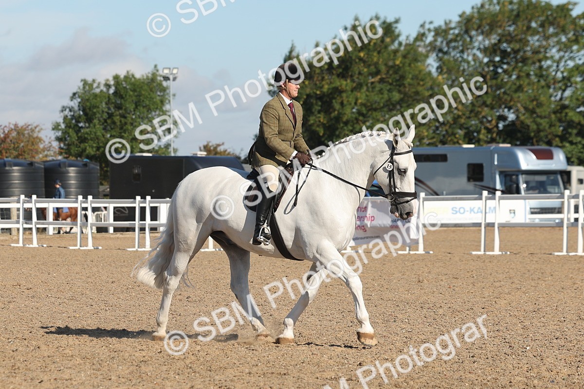 SBM_12217 - Class 303 - Ridden Pure Bred Horse Pony