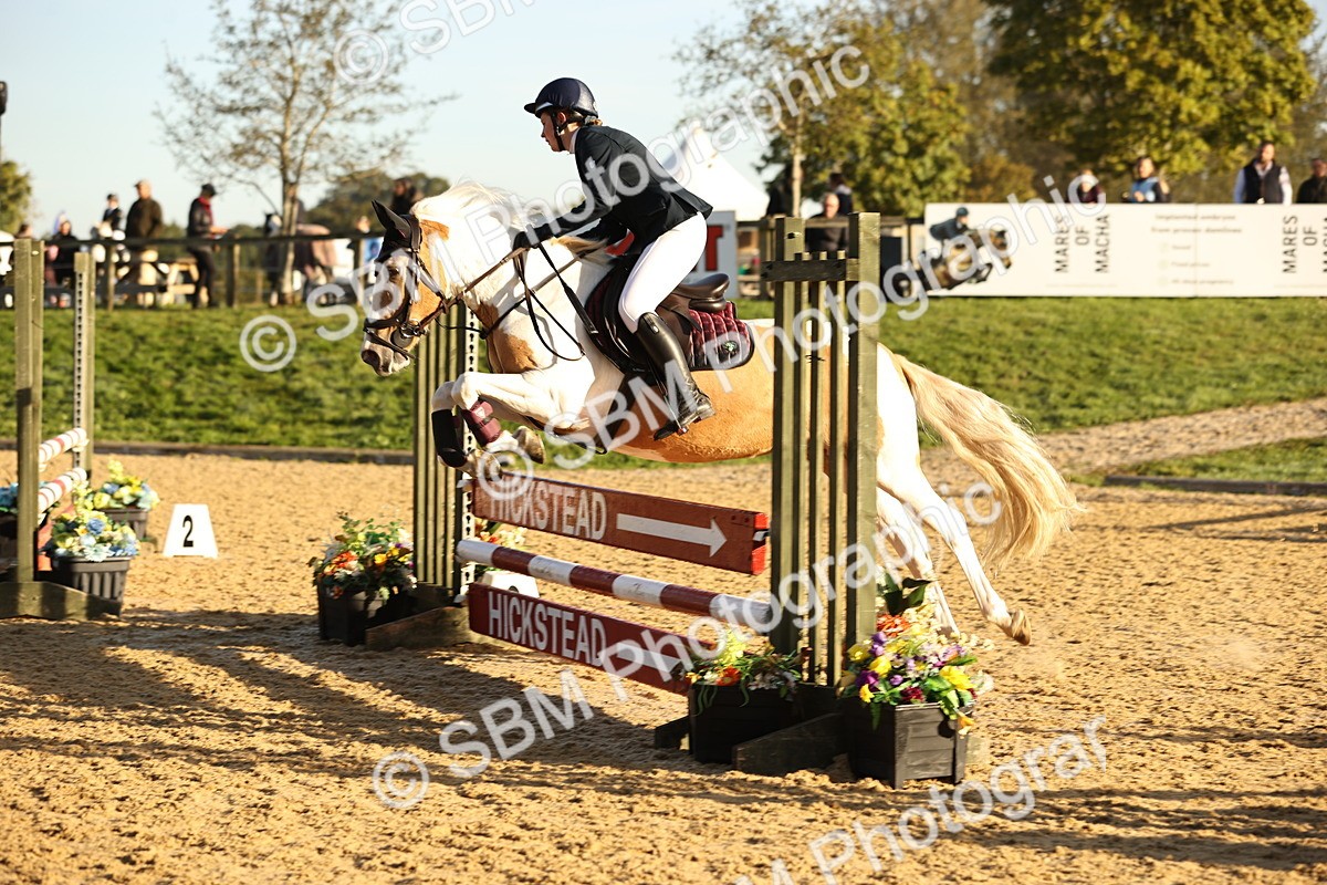 SBM_33039 - J38 - Senior 80cm Championship