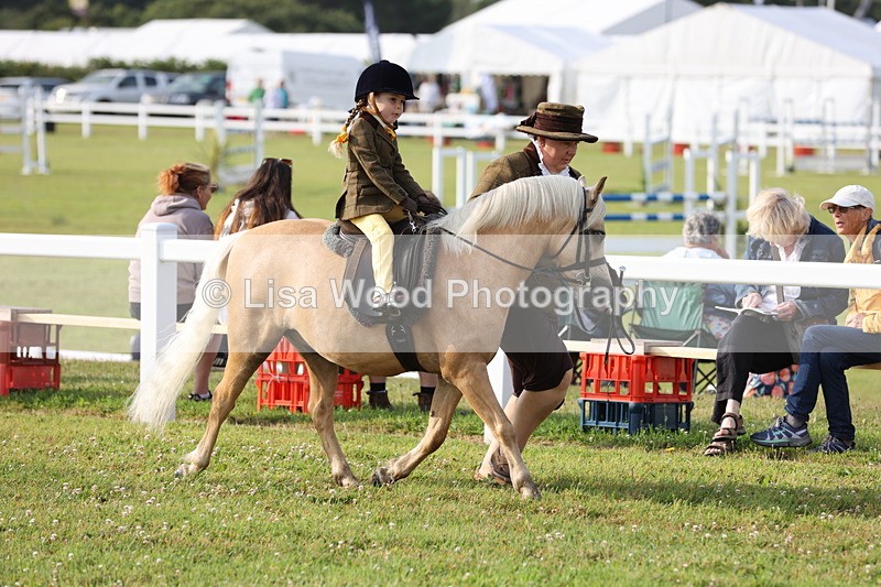 JPP_0260 - Class 14: Cornish Combination Leading Rein