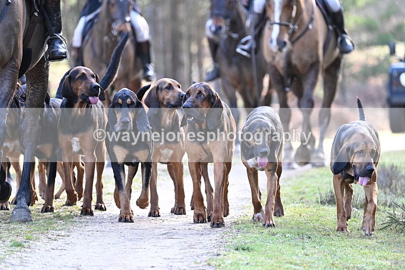 WJ7_7690 - Line 3 (no line 4 or 5)