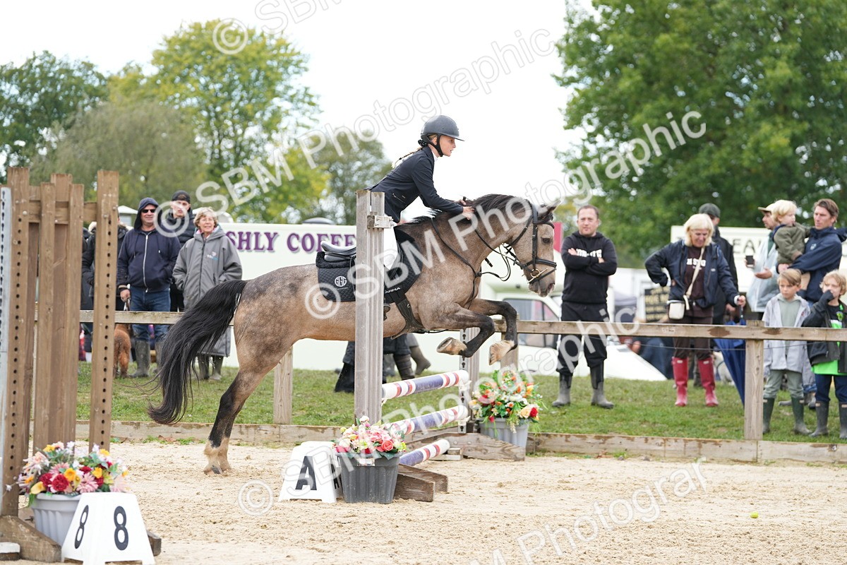 SBM_43450 - J7 - Junior Pony 60cm Championship
