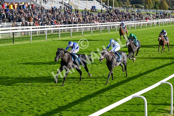 111024-Race 6-Fondo Blanco-2137 - Race 6 4.20pm William Hill EBF Novice Stakes