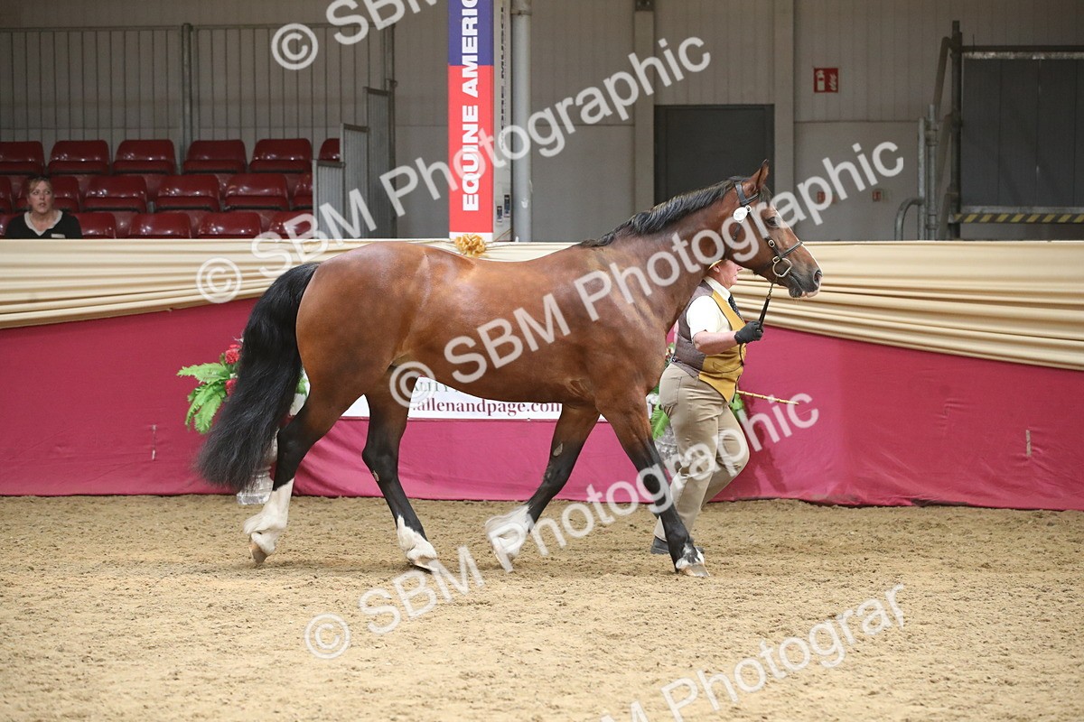 SBM_05553 - Class 9R - Regional IH Pre-Vet