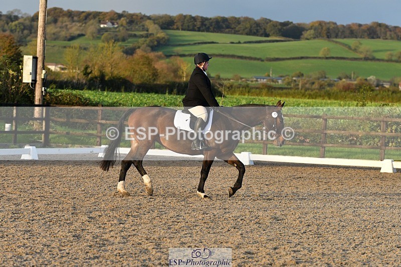 231105-154906-03939 - Cls 4 Novice 24 15.24 to 16.35 break