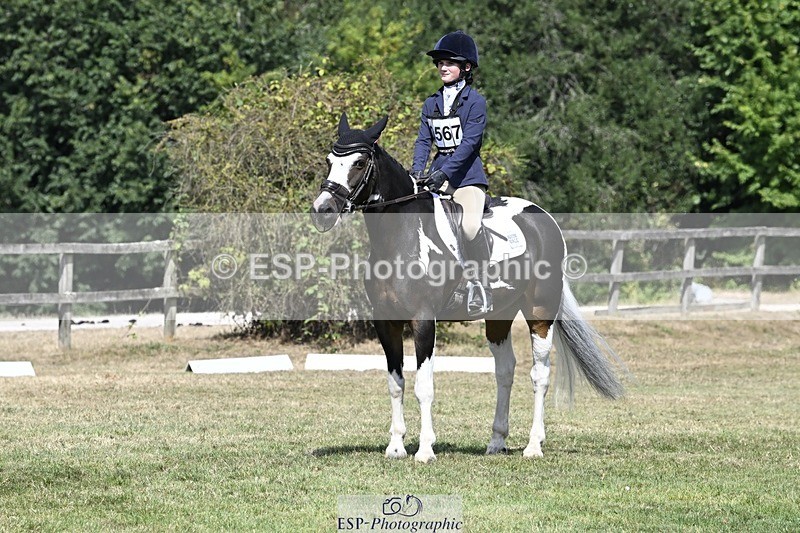 250822A-122304-22738 - DR 11.00 to 12.00