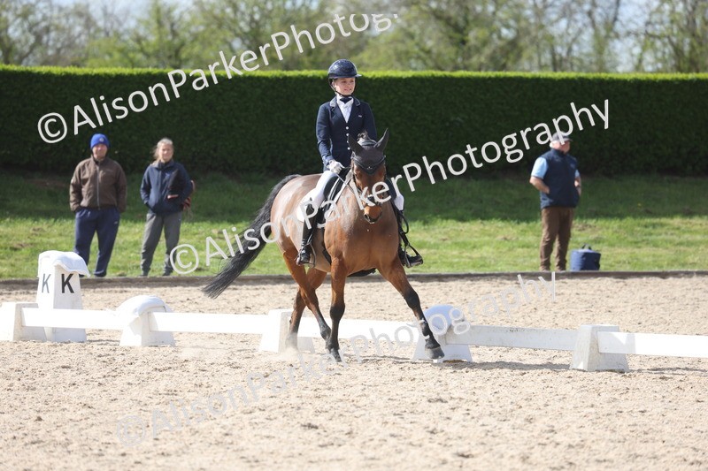 20260405-0909 - Pony FEI