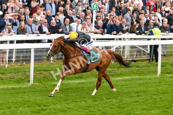 yr13052022r4-43 - Race 4 3.35pm The Paddy Power Yorkshire Cup (British Champions Series Race)