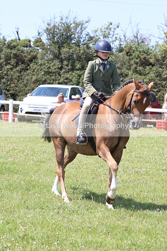 JPP_2773 - Class 21: Working Hunter 60cm