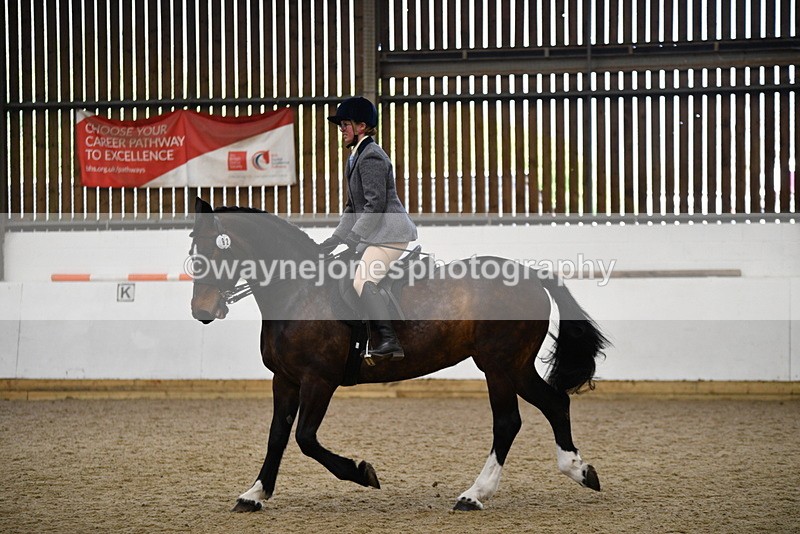 WJ5_7777 - Class 13 Ridden Part Breed
