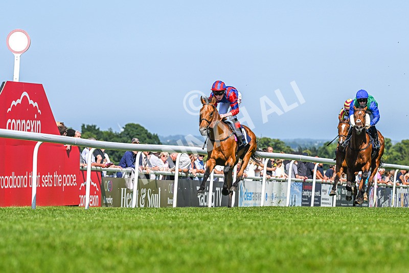 250624-Race 5-Drink Dry-9221 - Race 5