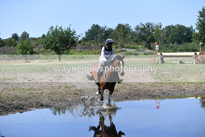WJ5_3350 - XC Time 13:30 to 14:00