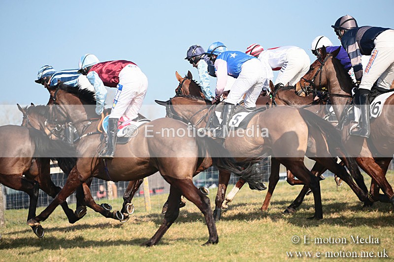 PtP 230219 78 - Vine & Craven Point-To-Point - Barbury 23/02/19