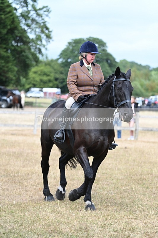 WJ7_1326 - Class 8 Ridden Veterans