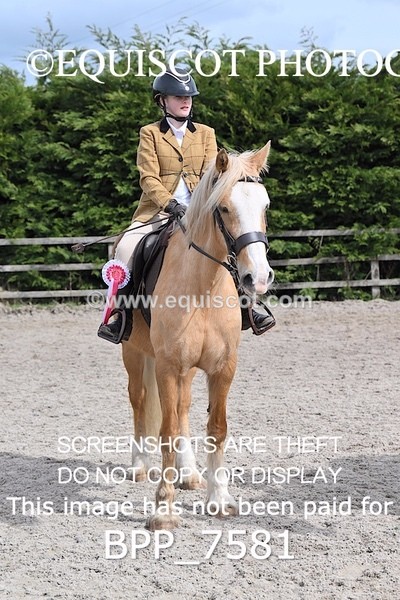 BPP_7581 - RING 1  (RIDDEN HORSES / IN HAND / VETERAN ETC)