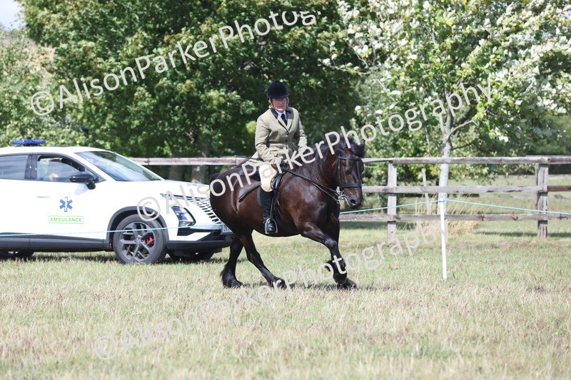 20250831-2964 - Class 19 - Mountain and Moorland