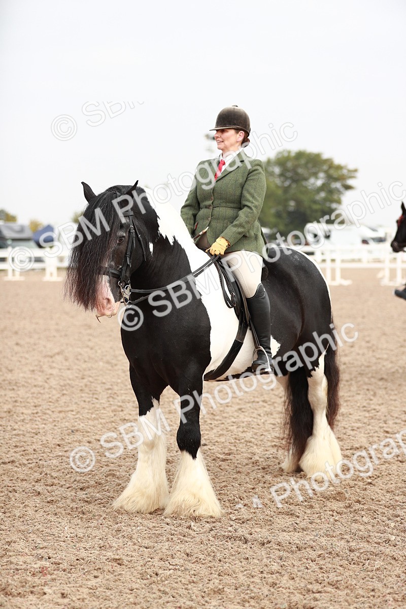 SBM_09428 - Class 202 Best Turned Out Ridden