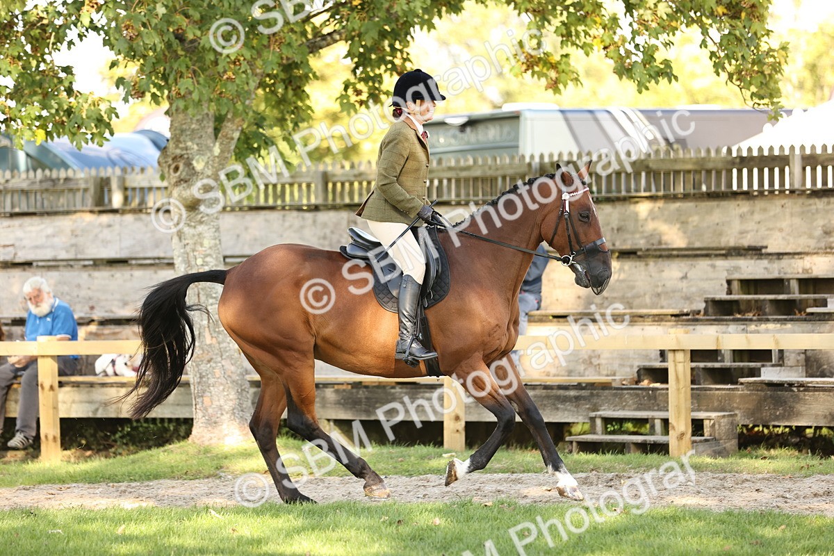 SBM_26455 - S6 - Novice & Newcomers Ridden Horse