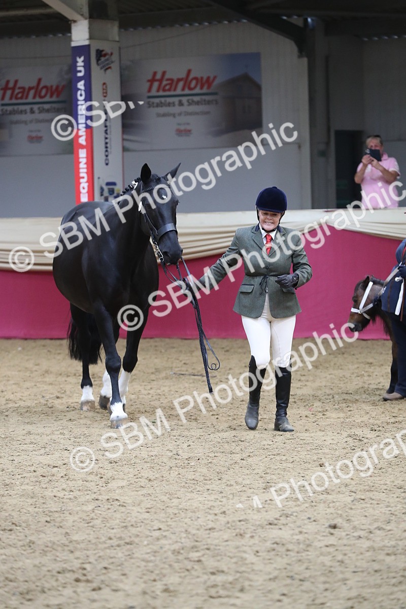 SBM_06451 - Class 9R Regional- IH Pre Vet