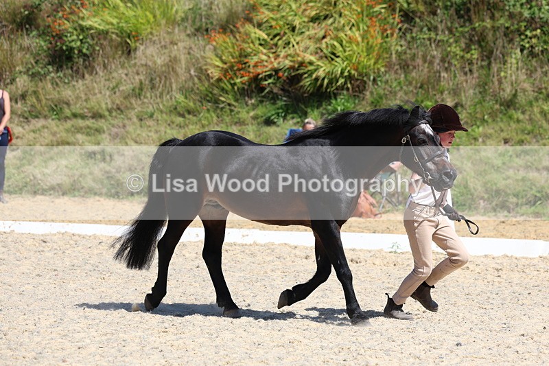 3E7A9650 - Class 32: Best Grass Kept