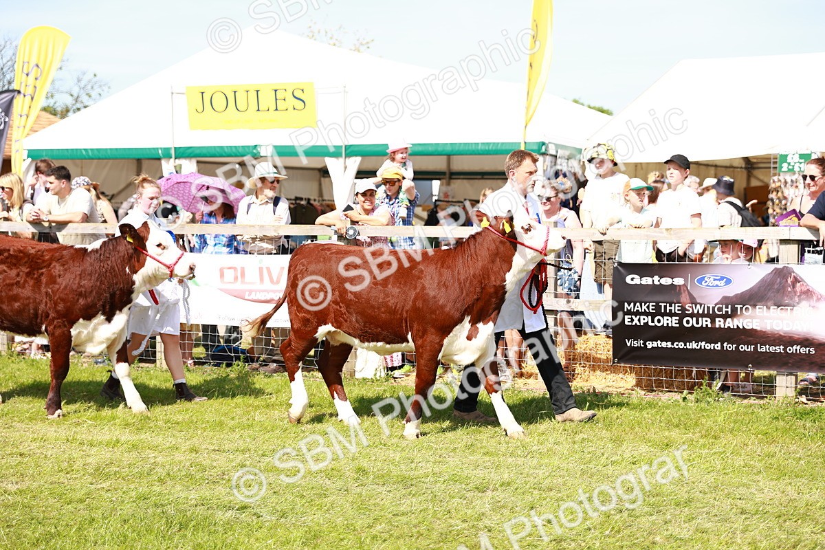 SBM_08371 - Grand Parade