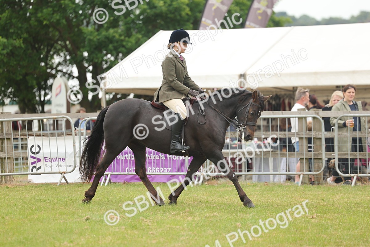 SBM_09091 - Class 78-80 - Ridden M&M Non Welsh Ponies