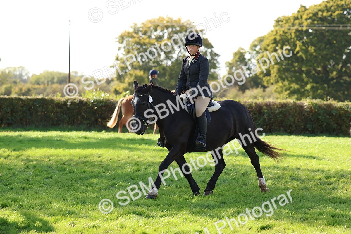 SBM_52432 - S13 - Pony Club Pony