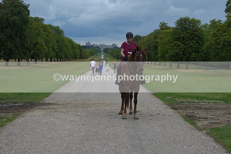 TT3_9380 - Time at Crossing 11:28 to 13:16