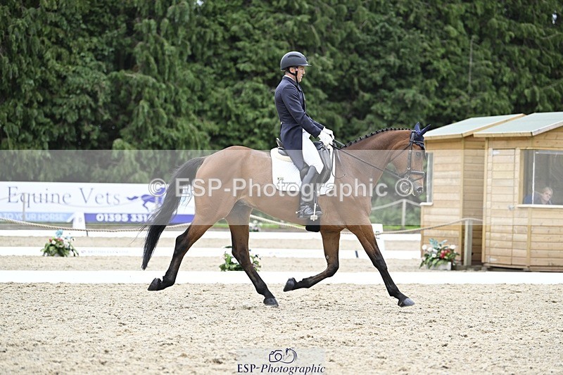 240523-161137-05422 - 443-FIGARO_DES_PREMICES-Alexander_Peternell