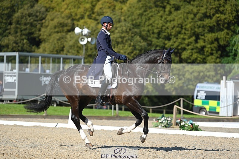 230526-165513-07440 - 258-DHI_KING_NELSON-Barnie_Brotherton-WEDTrotUp+DR