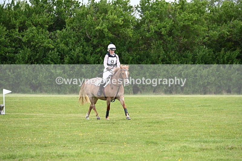 WJ6_2455 - Class 2 40cm