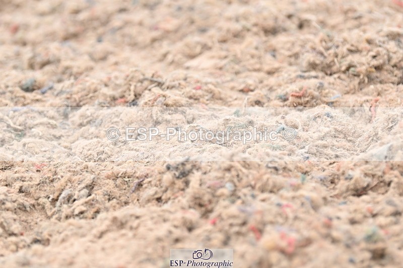 ESP_1413 - Cls 51 BD Elementary 53