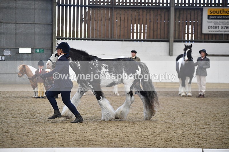 WJ5_4695 - Class 7 In hand coloured / odd coloured