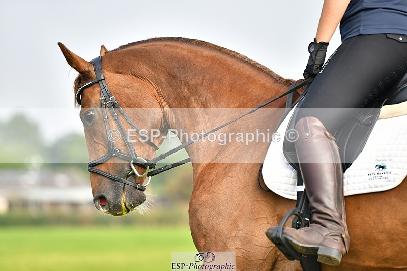 230817-092919-02560 - Abbie's 1st Group - Dressage