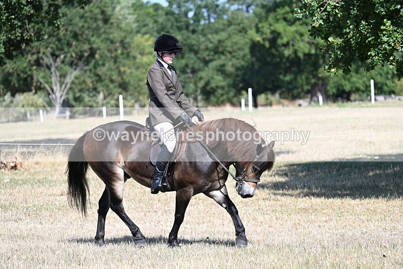 WJ7_3965 - Class 9 Mountain & Moorland Ridden