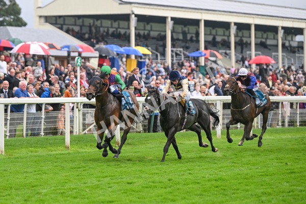 080924-Race 5-Quinault-9311 - Race 5 4.00pm Starman At Tally Ho Stud Garrowby Stakes