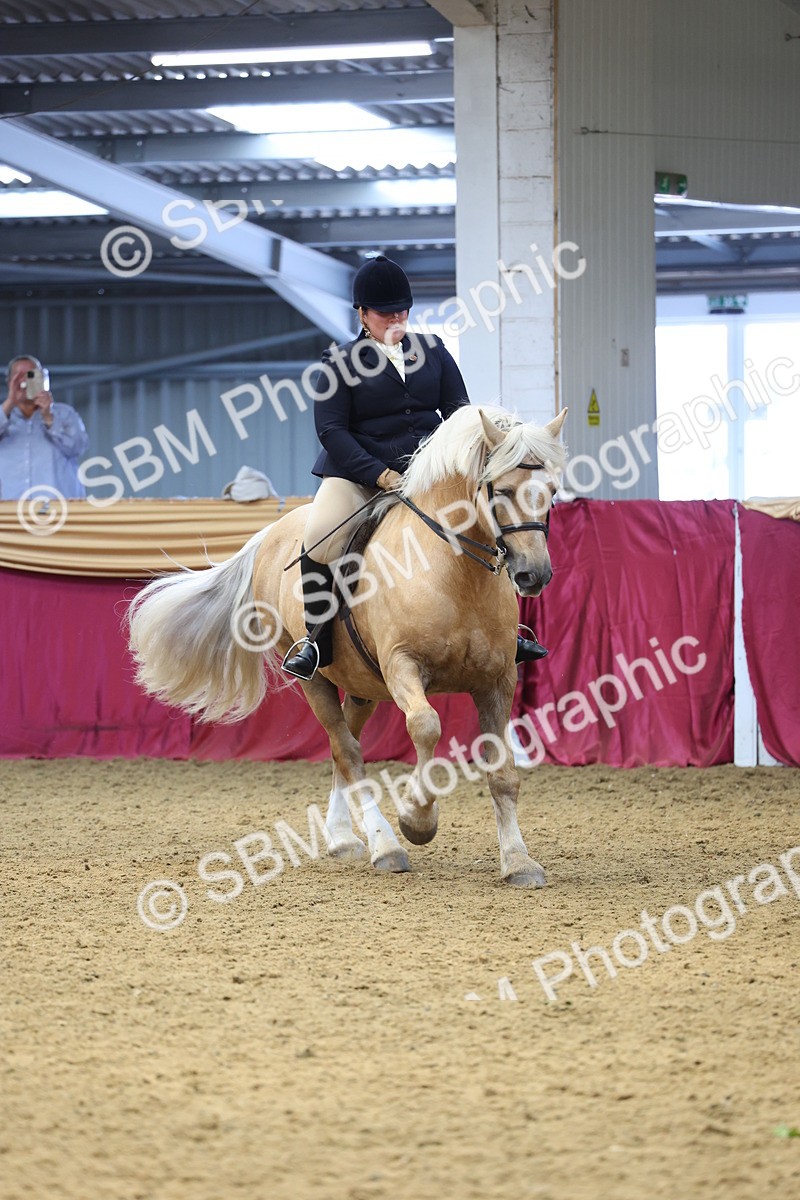 SBM_23950 - Class 905 - Supreme Final - Ridden Veteran