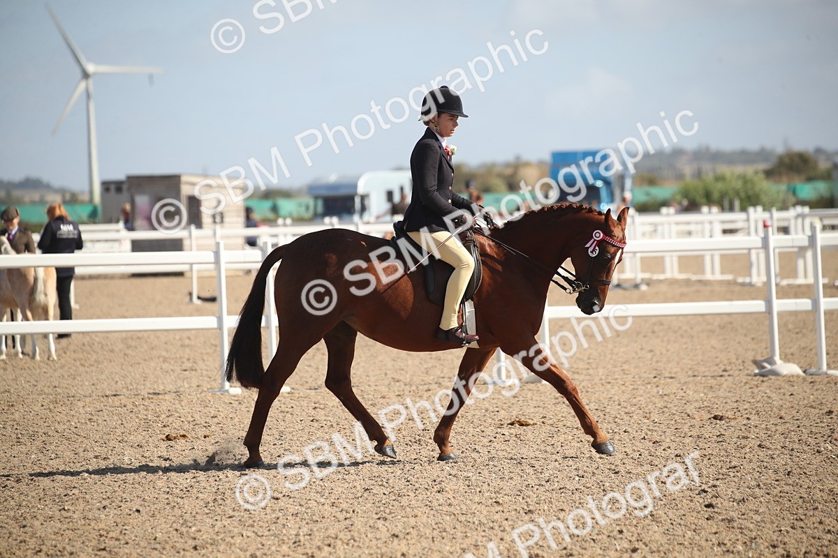 SBM_22951 - Class 603 - 2026 - Ridden Pre Vet