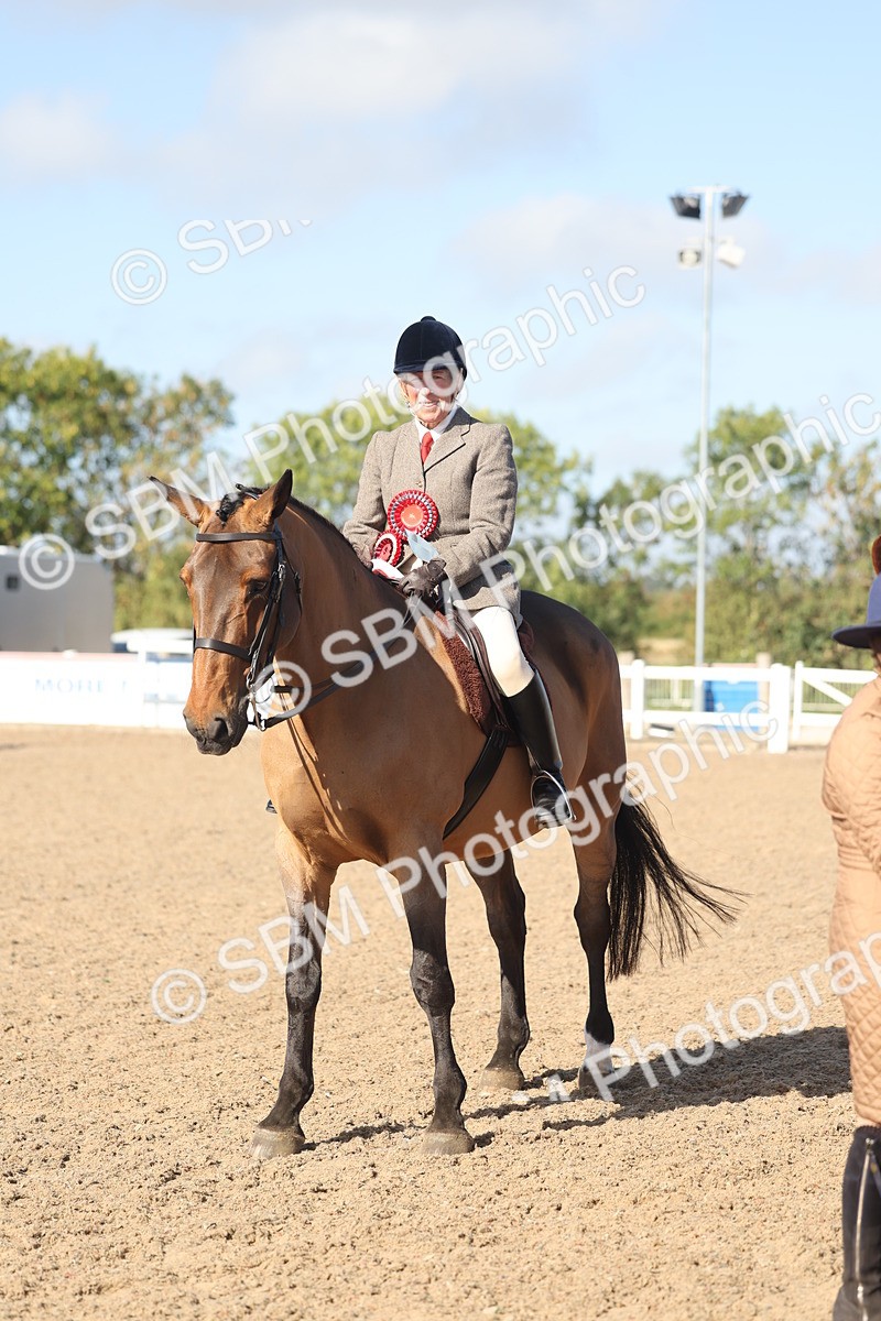 SBM_22335 - Class 803 - Ridden Combination 65+